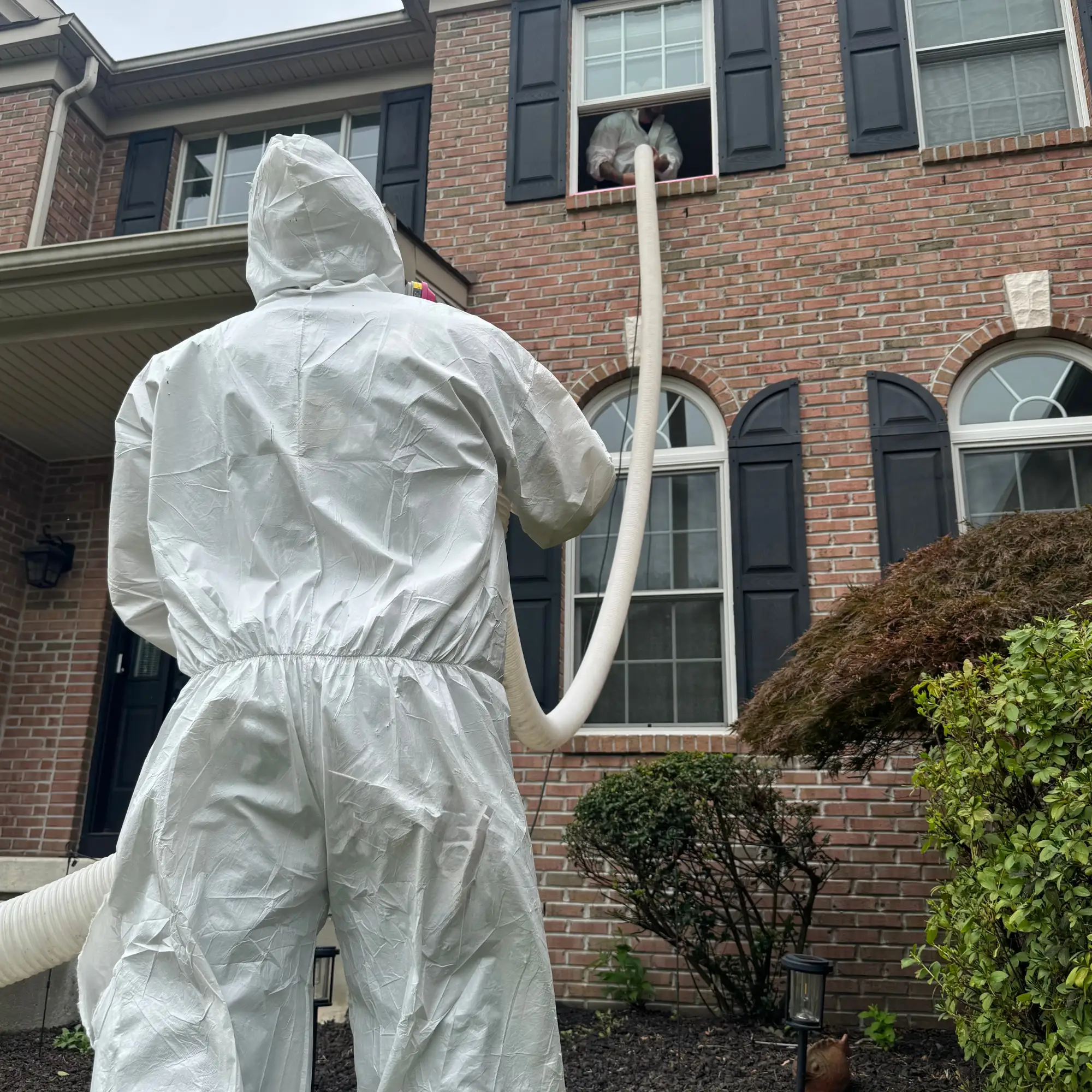 Insulation Removal Services